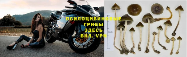 дживик Остров