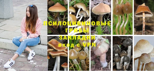 мет Осташков