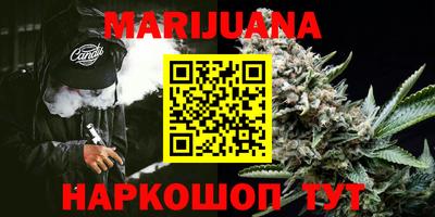 мдпв Гай