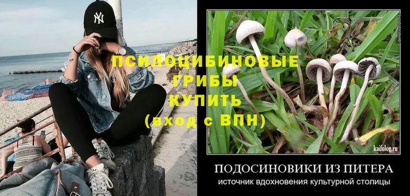 Псилоцибиновые грибы Psilocybine cubensis  даркнет сайт  Азов 