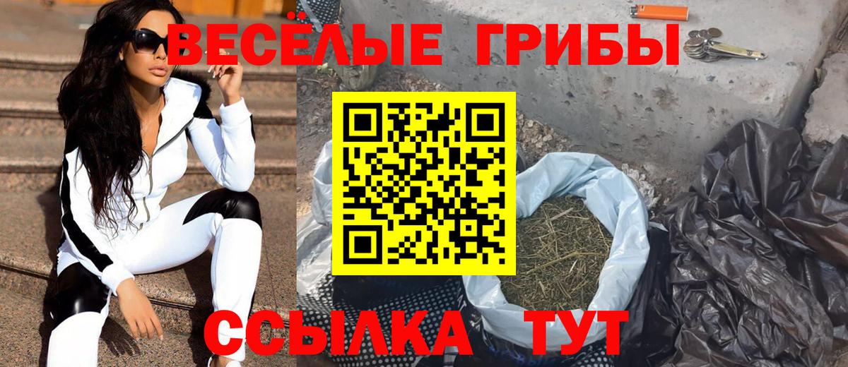 Псилоцибиновые грибы ЛСД Азов