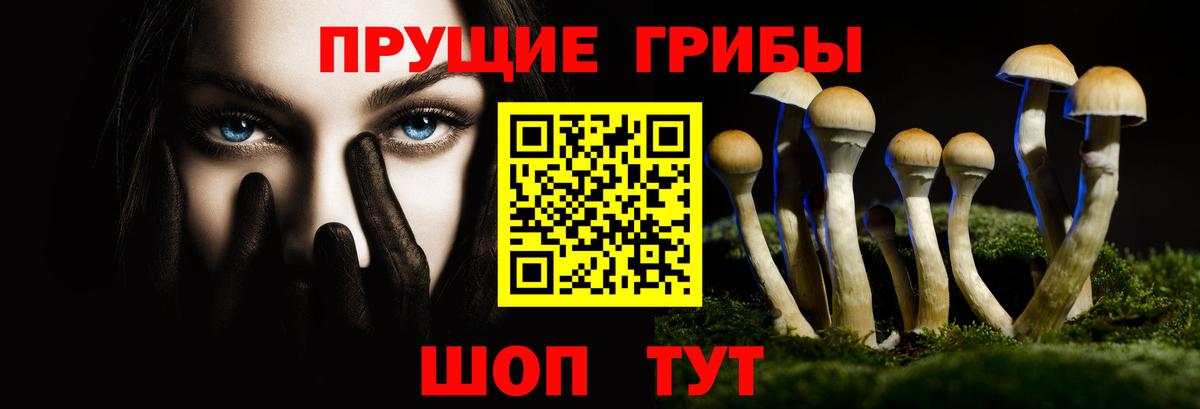 Галлюциногенные грибы Psilocybine cubensis  Вход с VPN  Азов 